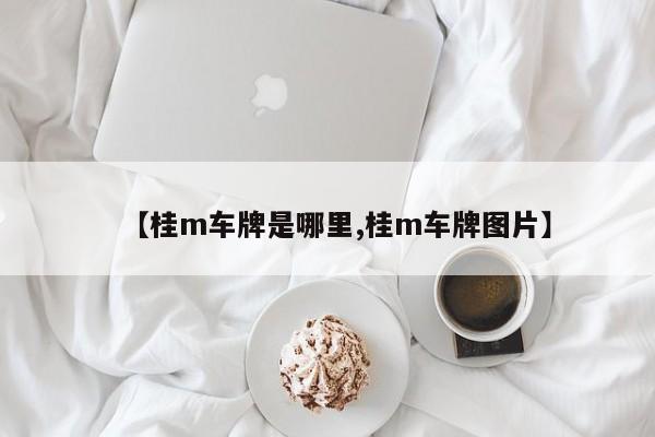 【桂m车牌是哪里,桂m车牌图片】