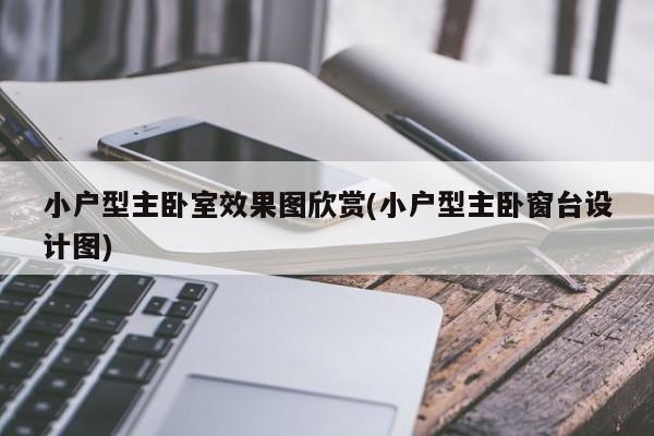 小户型主卧室效果图欣赏(小户型主卧窗台设计图)