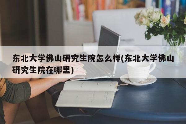 东北大学佛山研究生院怎么样(东北大学佛山研究生院在哪里)