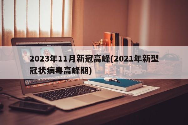 2023年11月新冠高峰(2021年新型冠状病毒高峰期)